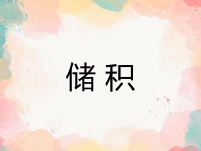 储积