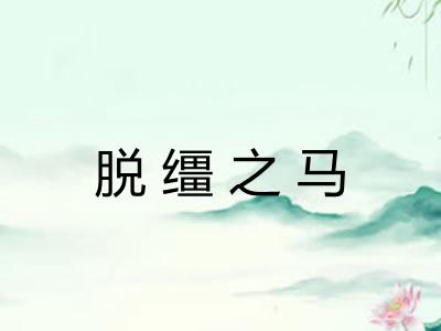 脱缰之马