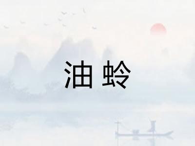 油蛉