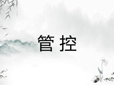 管控