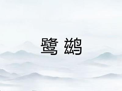 鹭鹚