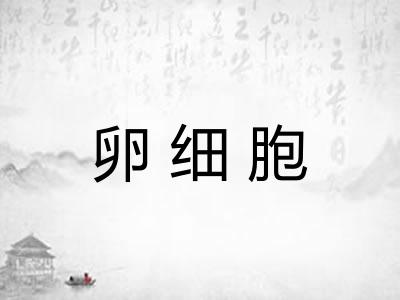 卵细胞