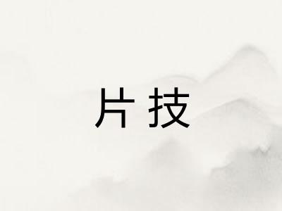 片技