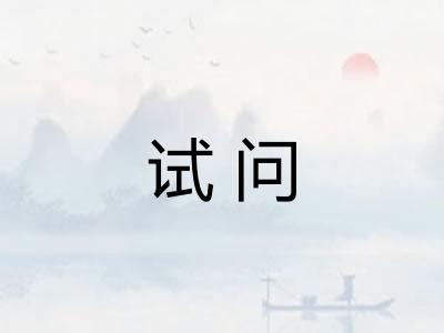试问