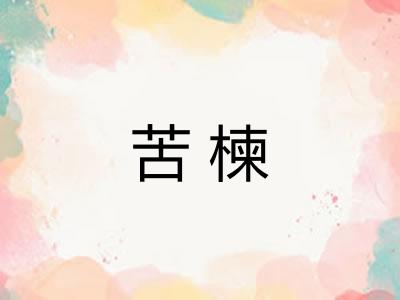 苦楝