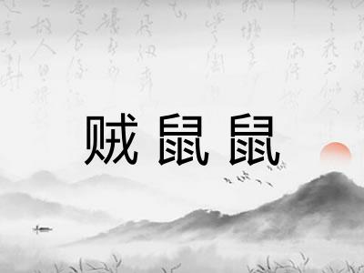 贼鼠鼠