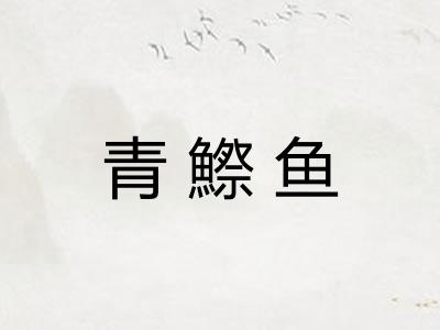 青鰶鱼
