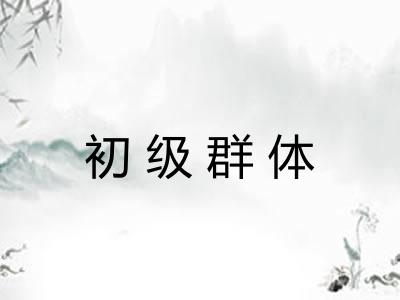 初级群体