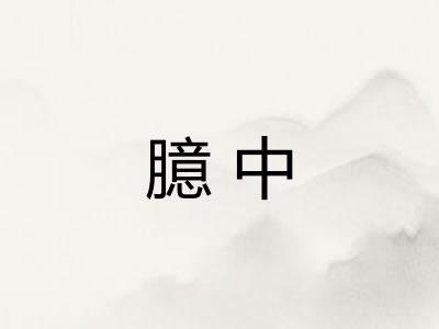 臆中