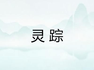 灵踪