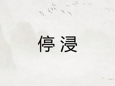 停浸