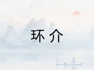 环介