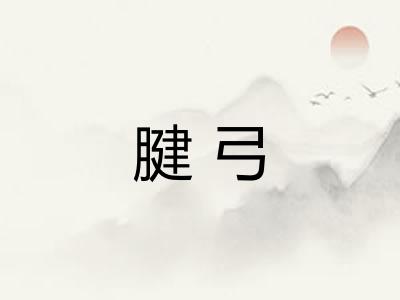 腱弓