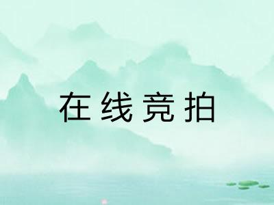 在线竞拍