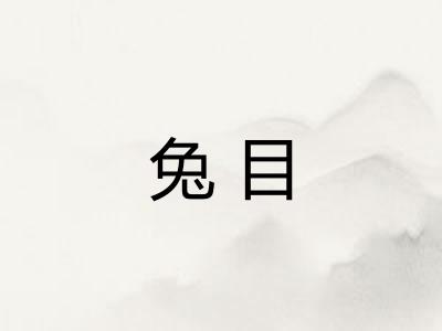 兔目