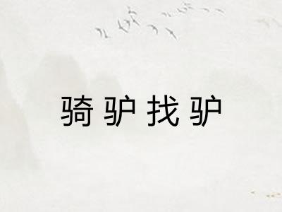 骑驴找驴