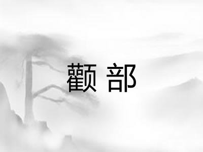 颧部