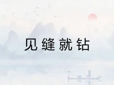 见缝就钻