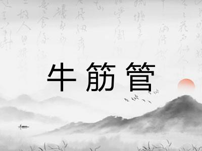 牛筋管
