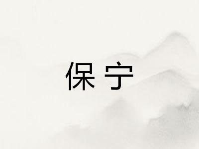 保宁