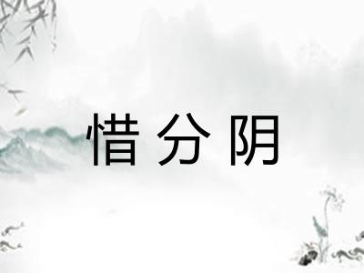惜分阴