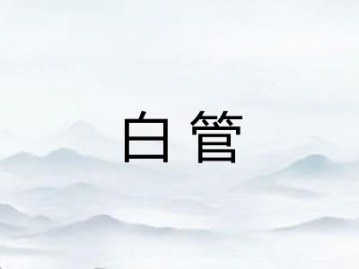 白管