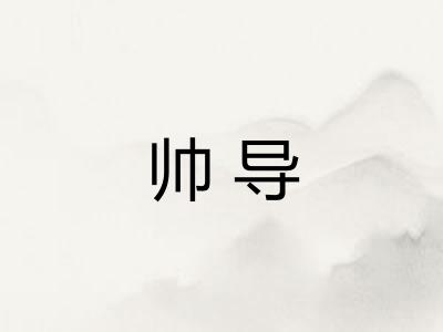 帅导