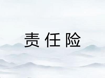 责任险