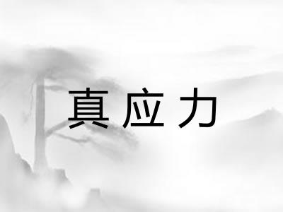 真应力