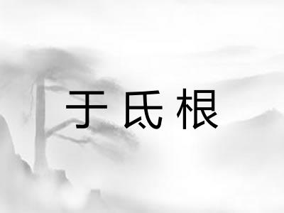 于氐根