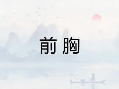 前胸