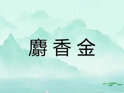 麝香金