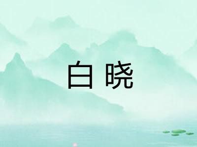 白晓