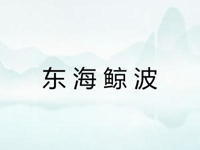 东海鲸波