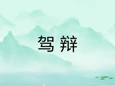 驾辩