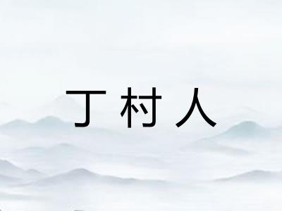丁村人