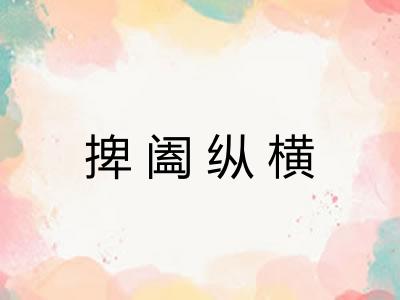 捭阖纵横