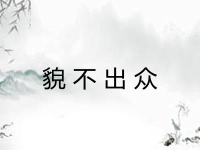 貌不出众