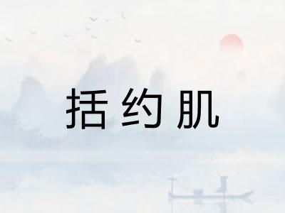 括约肌