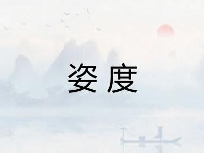 姿度