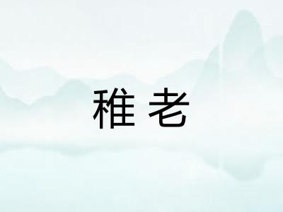 稚老