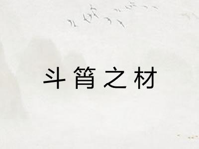 斗筲之材