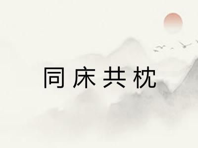同床共枕