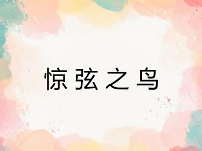 惊弦之鸟