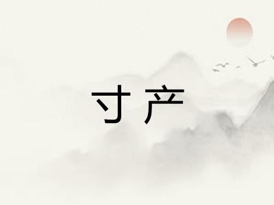 寸产