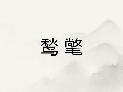 鹙氅