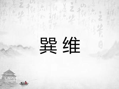 巽维
