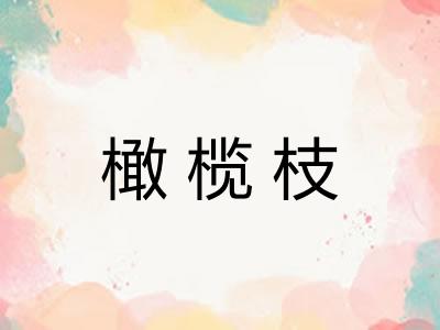 橄榄枝