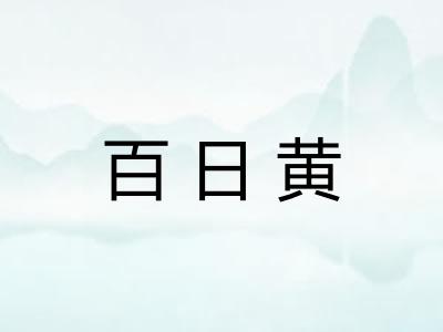 百日黄