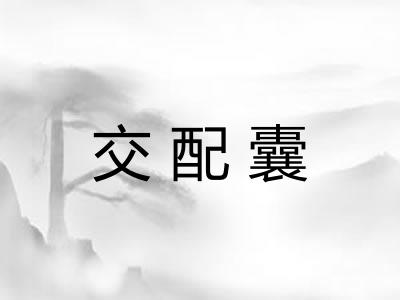 交配囊
